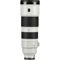 Sony FE 200–600mm f/5.6-6.3 G OSS Lens